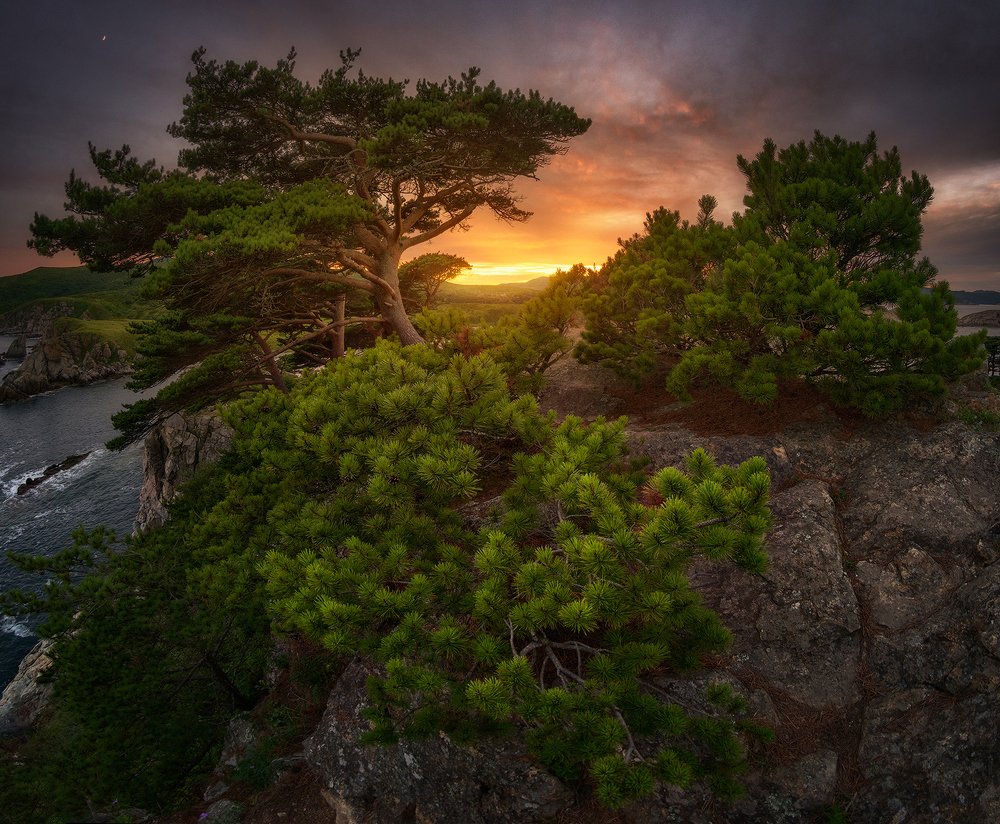 Photograph by Сорокин Алексей