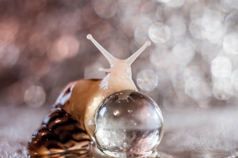 Photograph by Динара Зуйкова