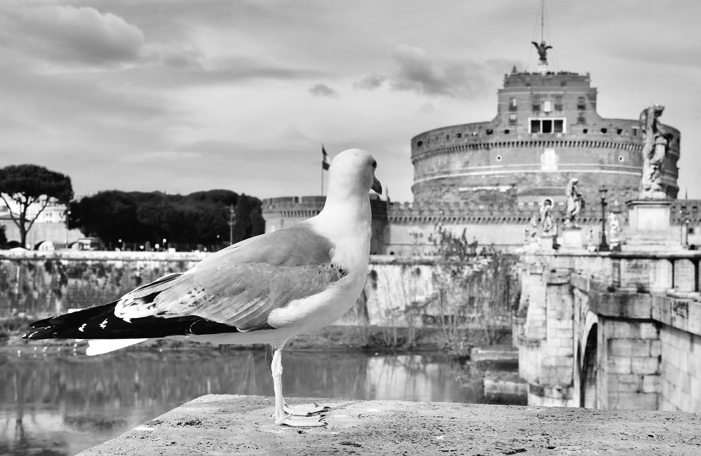 Photograph by Искандар Газизов