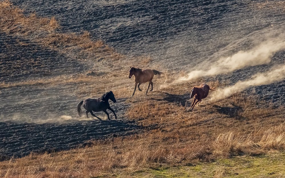 Photograph by Николай Наумов