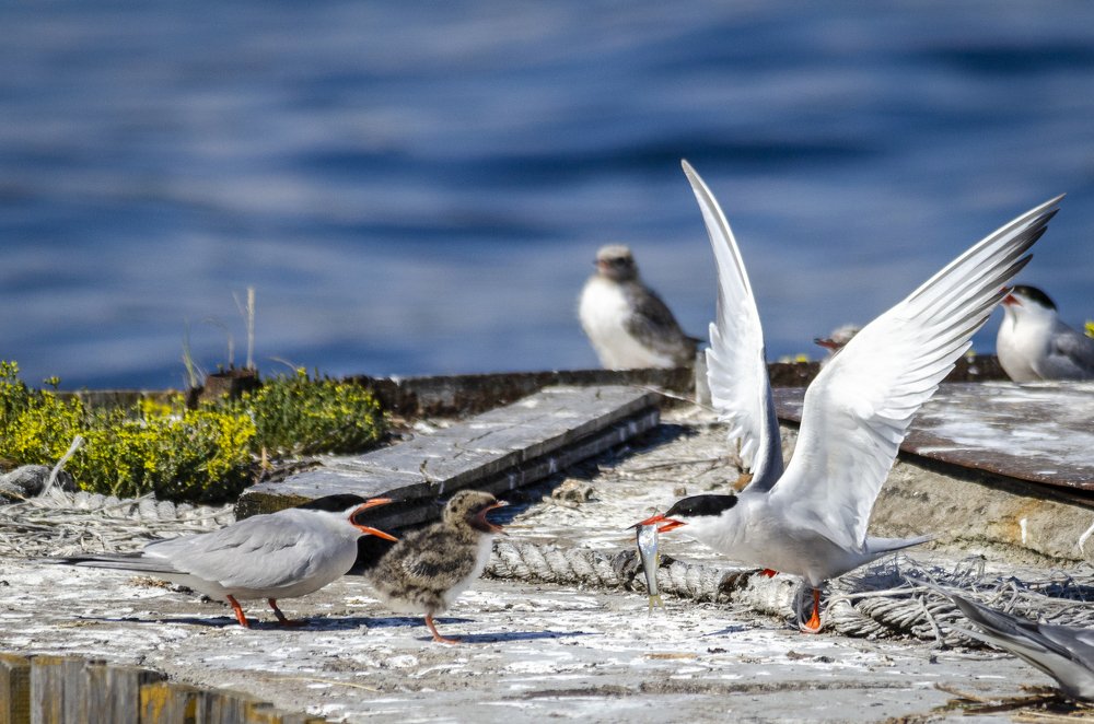 Photograph by Виктор Плахотин