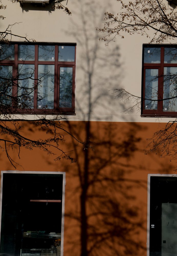 Photograph by sergei nosov