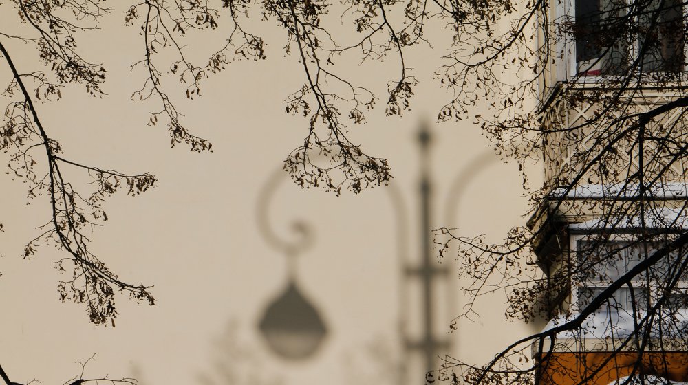 Photograph by sergei nosov