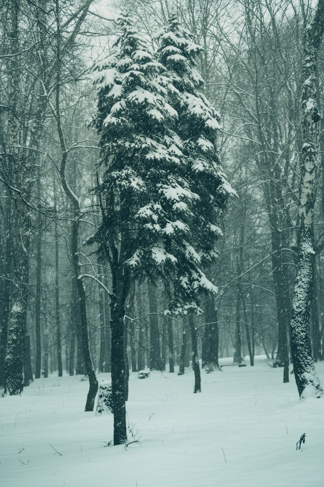 Photograph by Даниил Мусатов