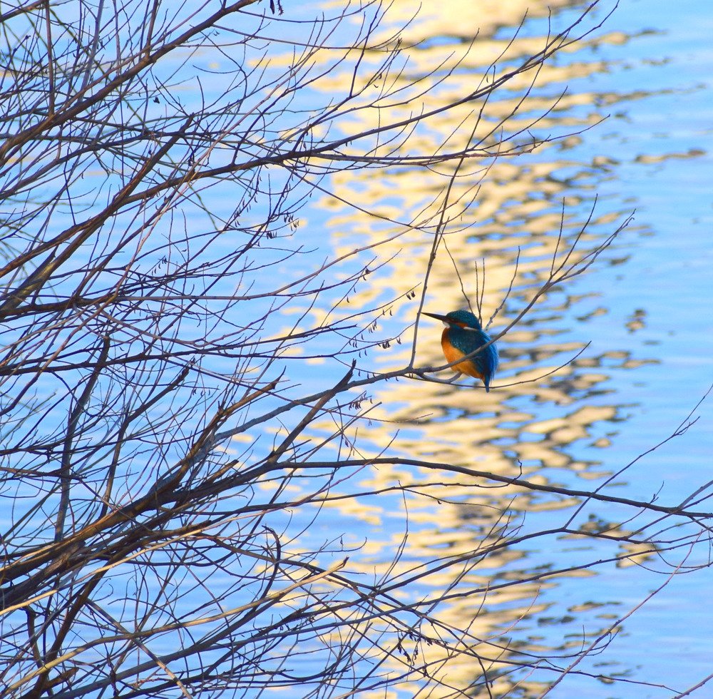 Photograph by Galya Krasteva