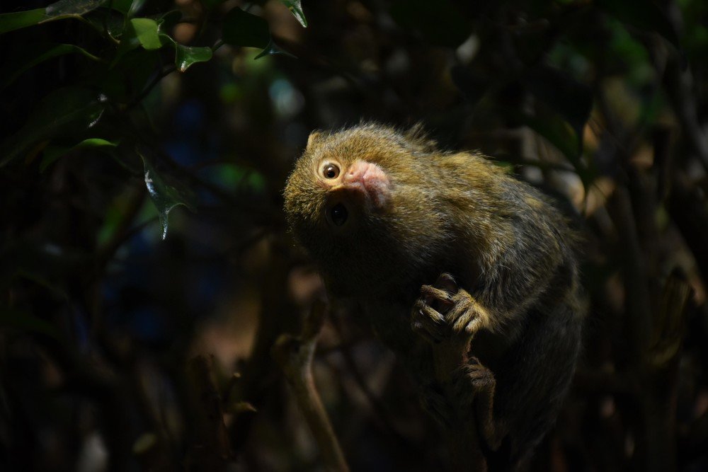 Photograph by Ija Reiman