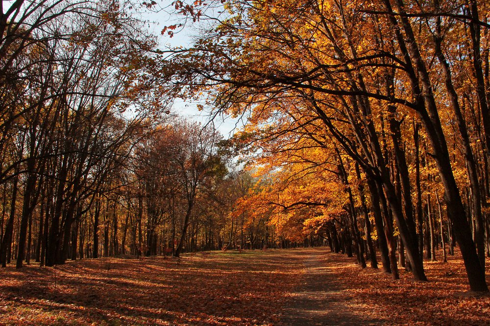 Осенний парк