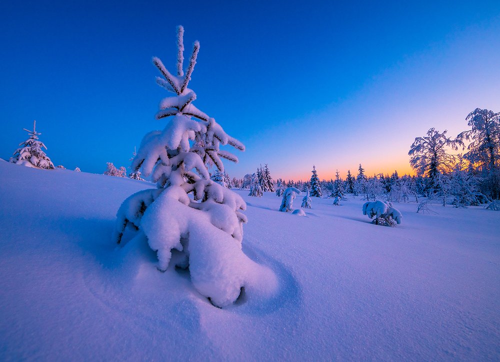 Сумерки ночи