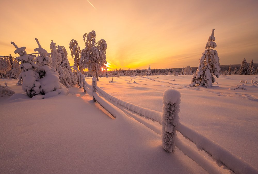Тишина заката.