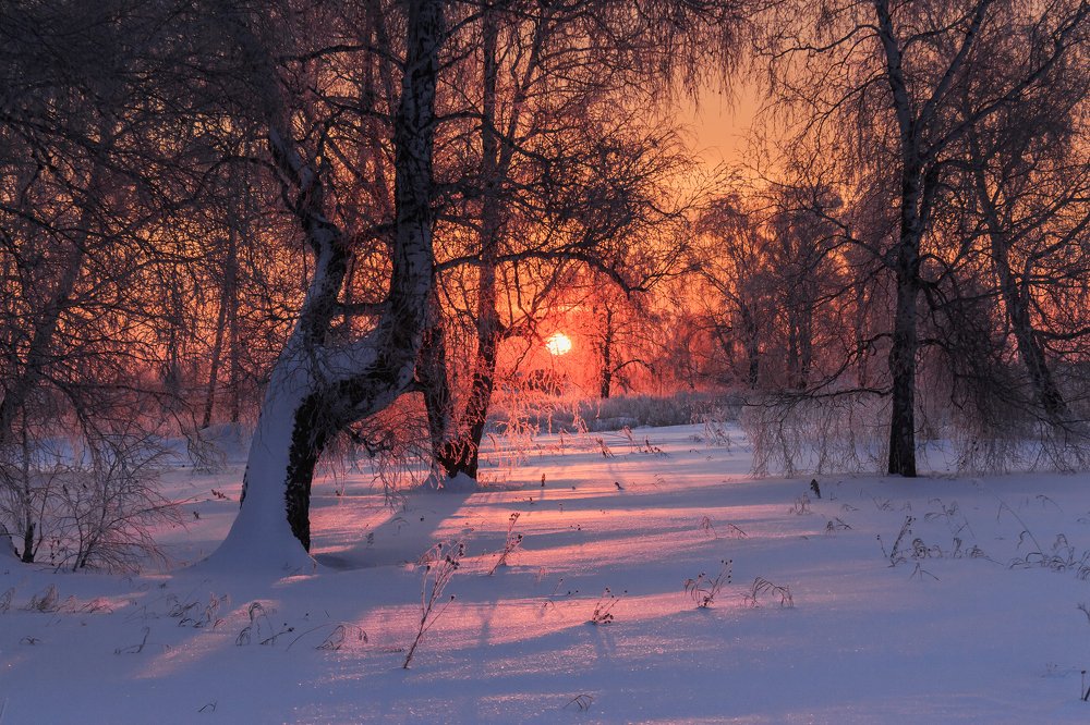 На рассвете