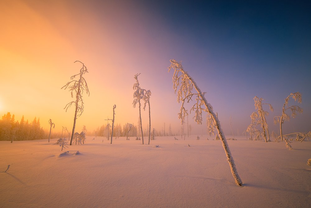 Зимним вечером.
