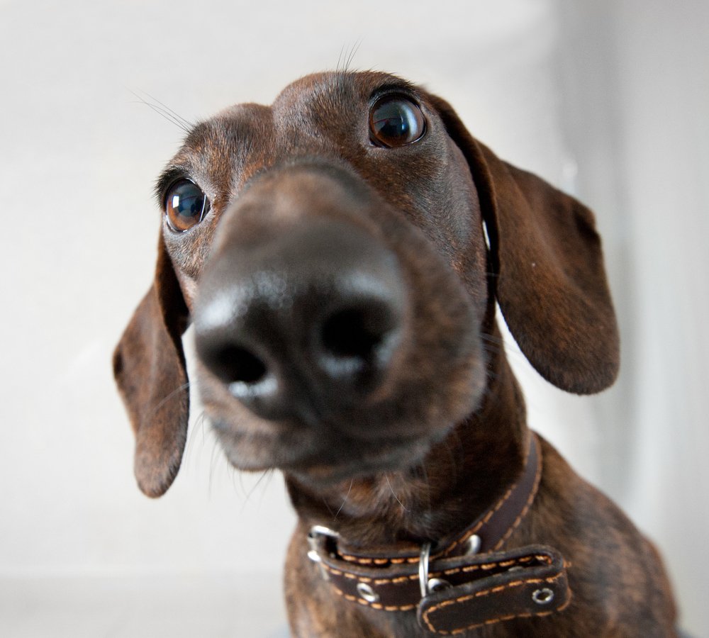 А ты кто такой?