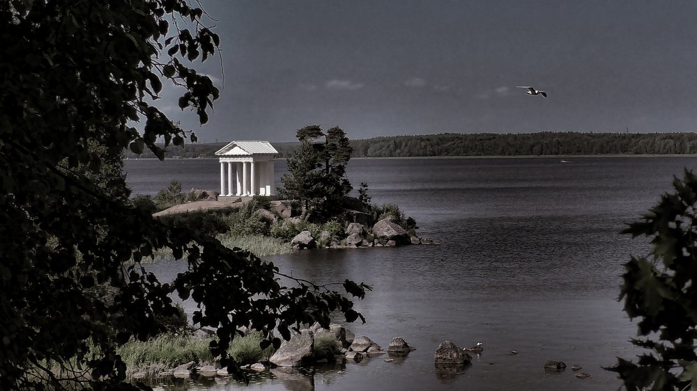 Парк Монрепо