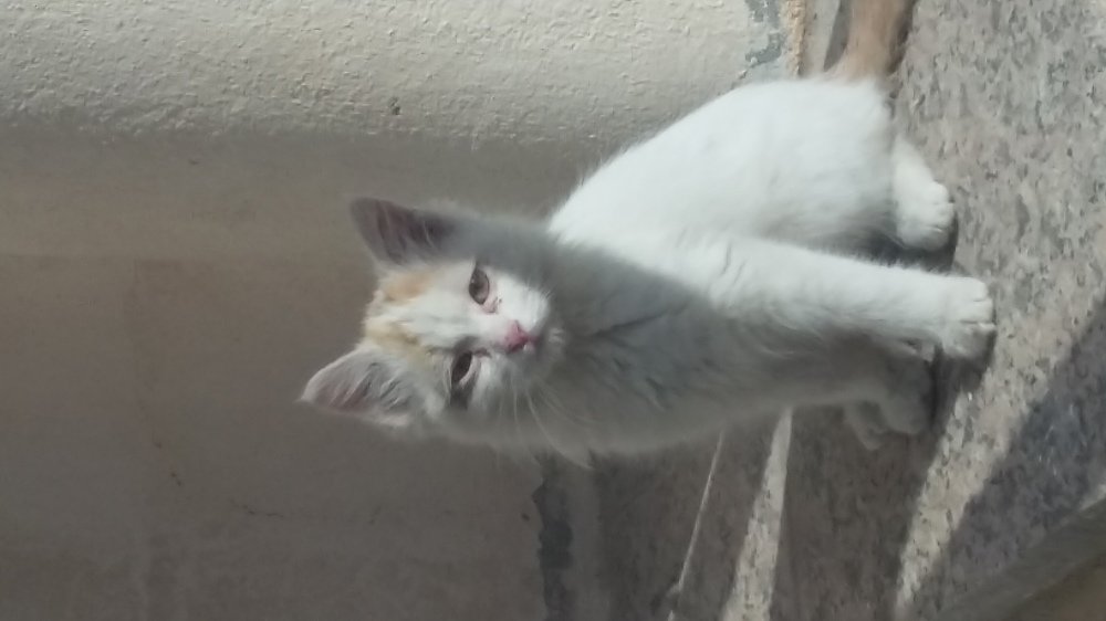 missing his mother