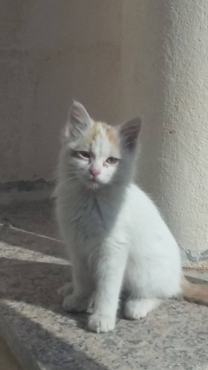 missing his mother