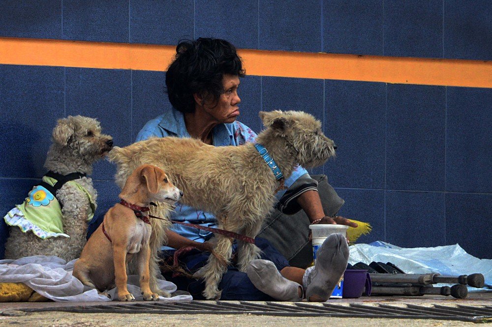 Patricia Montoya's friends