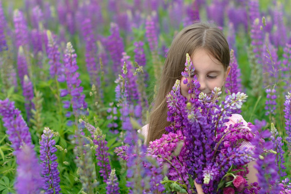 Photograph by Людмила Воронюк