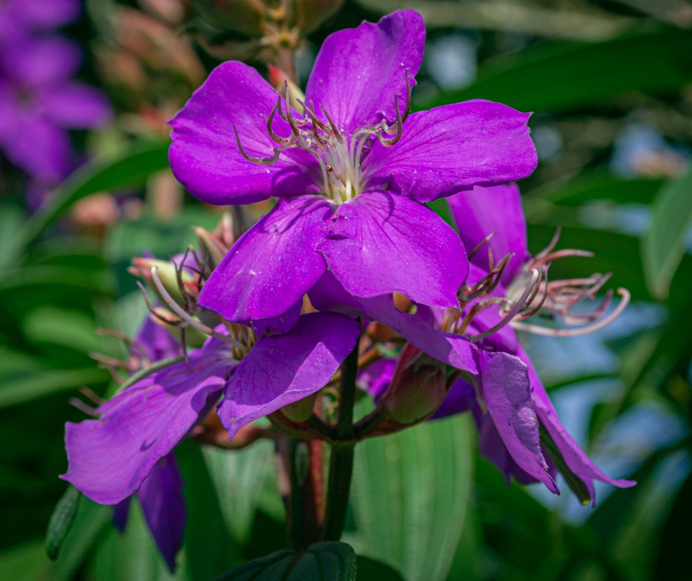 Photograph by Fabricio de Oliveira