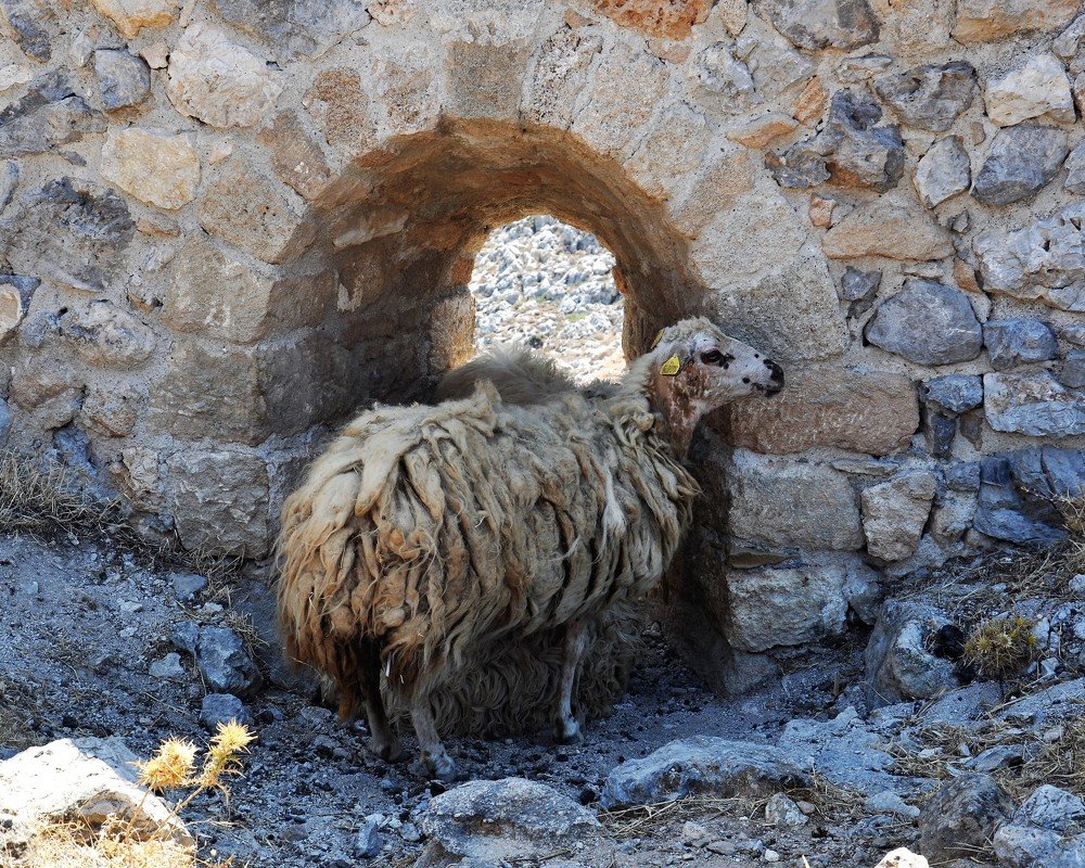 Photograph by Худякова Светлана Викторовна