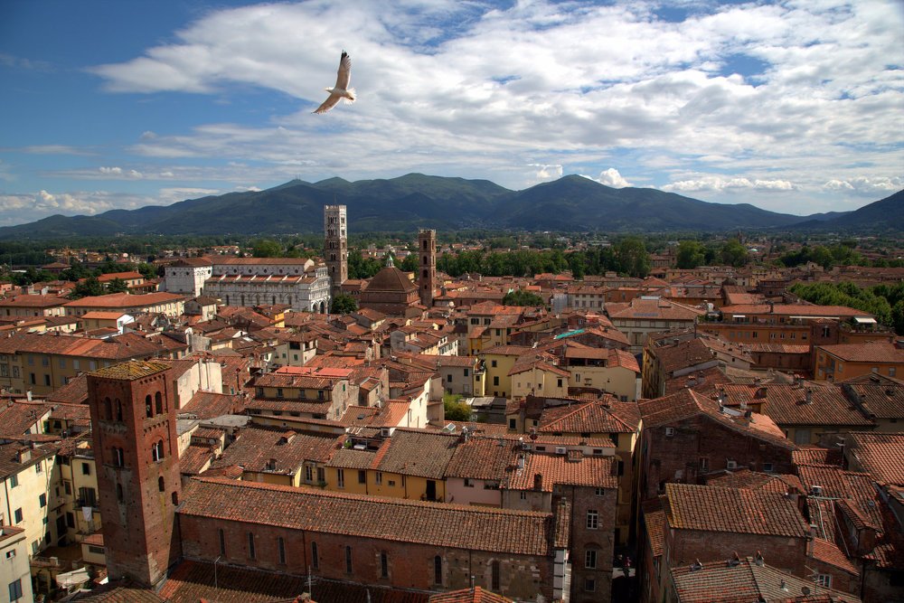 Photograph by Алексей Обухов