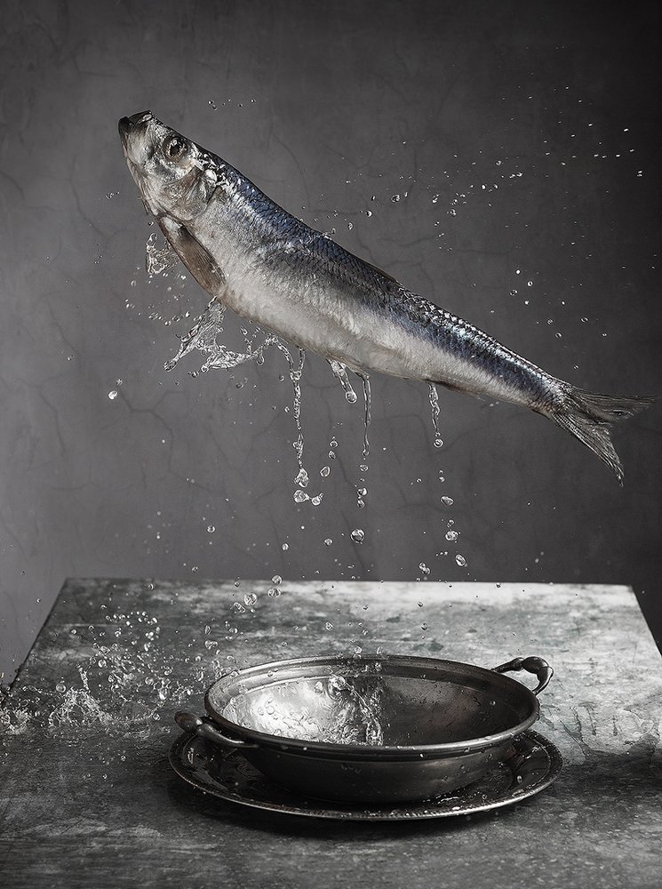 Photograph by fashionfoodfoto