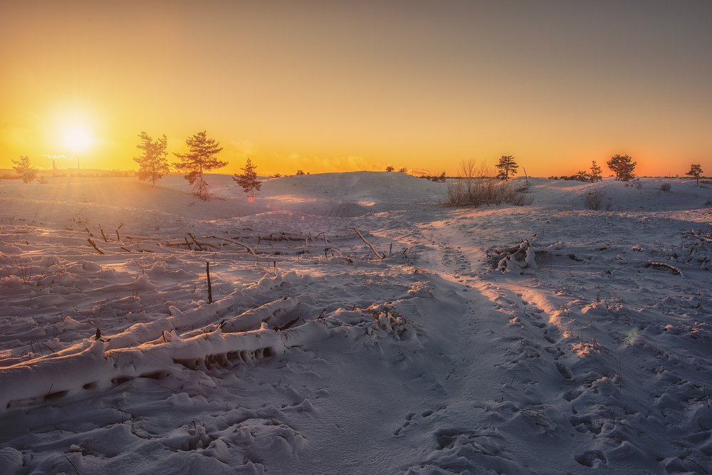 Фотография автора Андрей Жила