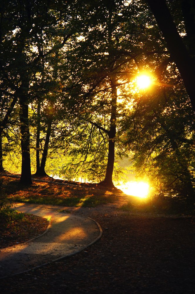 Photograph by Михаил Обертаев