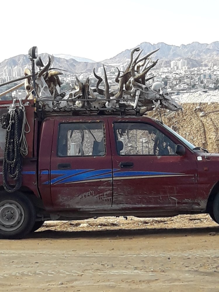 Photograph by Евгений Савельев