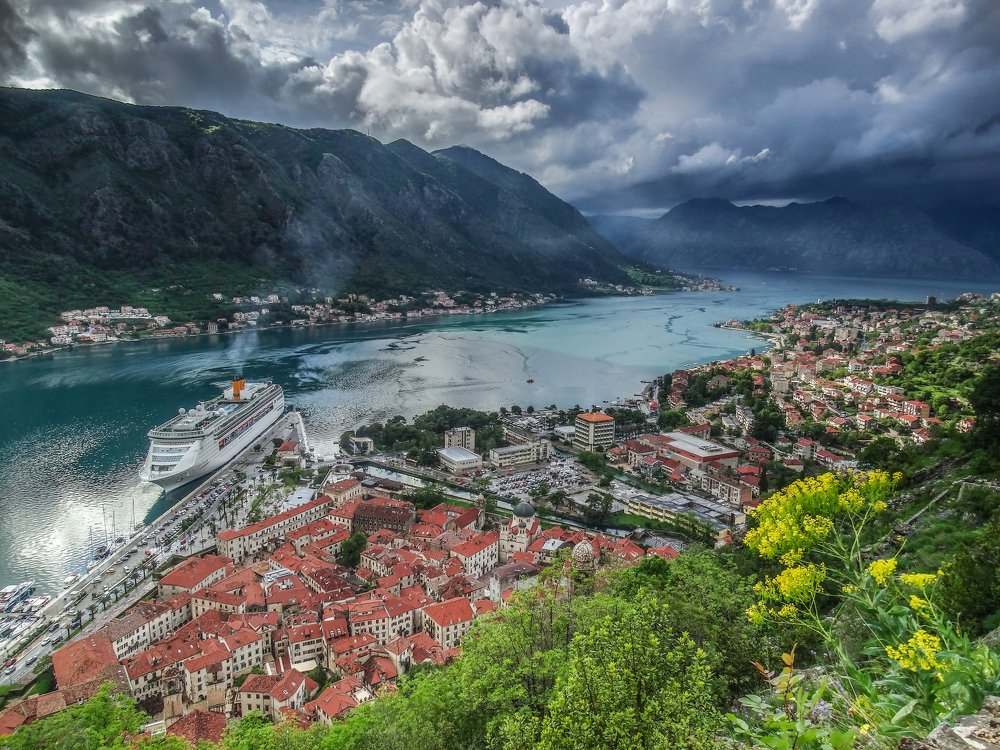 Photograph by Lazaroff Classic