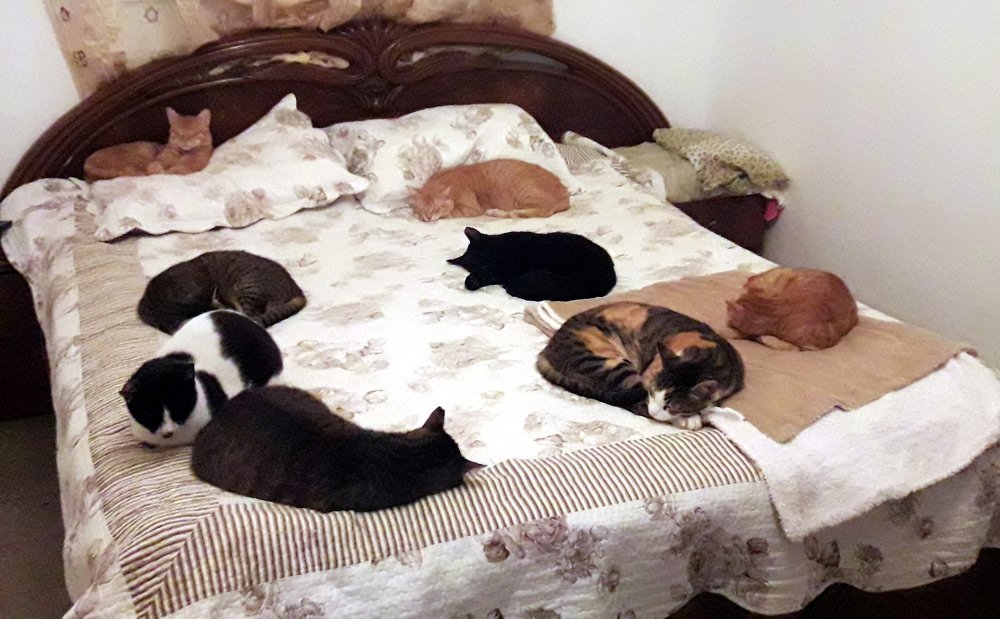 Photograph by Евгений Савельев