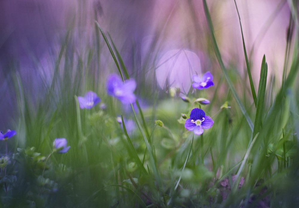 Photograph by Dana S.