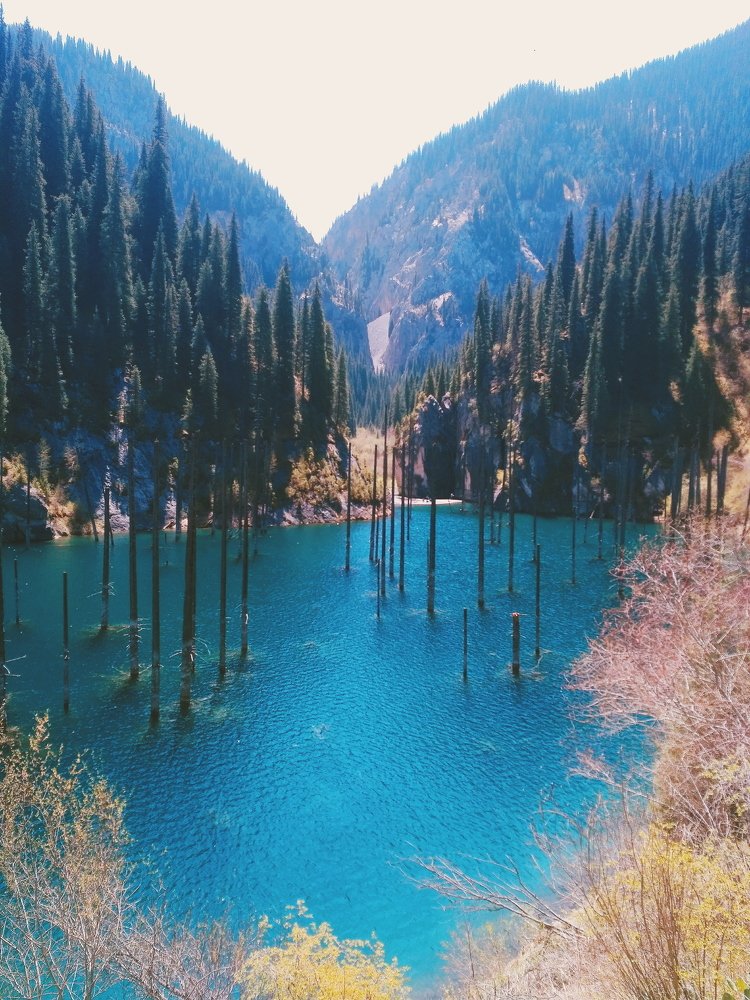 Photograph by Алексей Степаненко