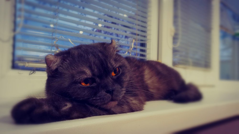 Photograph by Иван Белянин