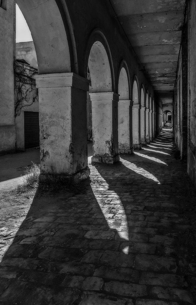 Photograph by Nouar Hadjaissa