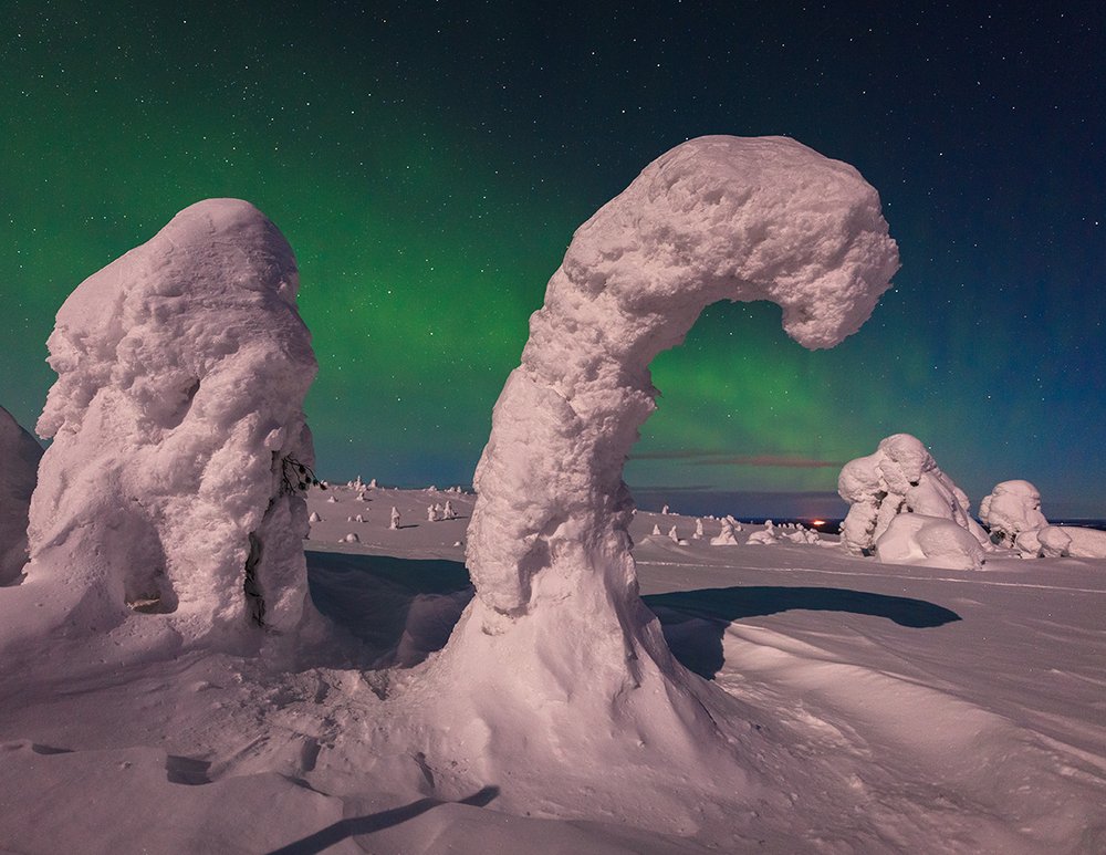Ночная страна динозавров.