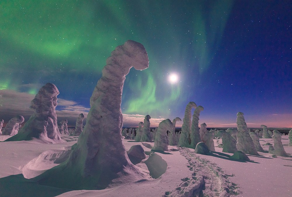 Страна динозавров.