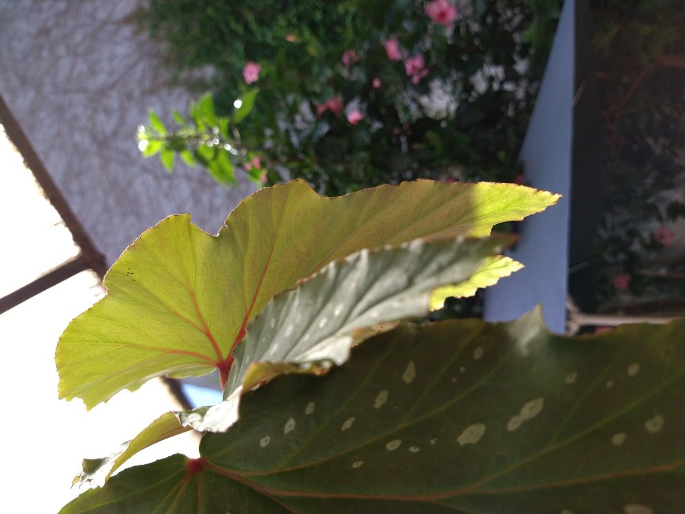 Photo #4281334