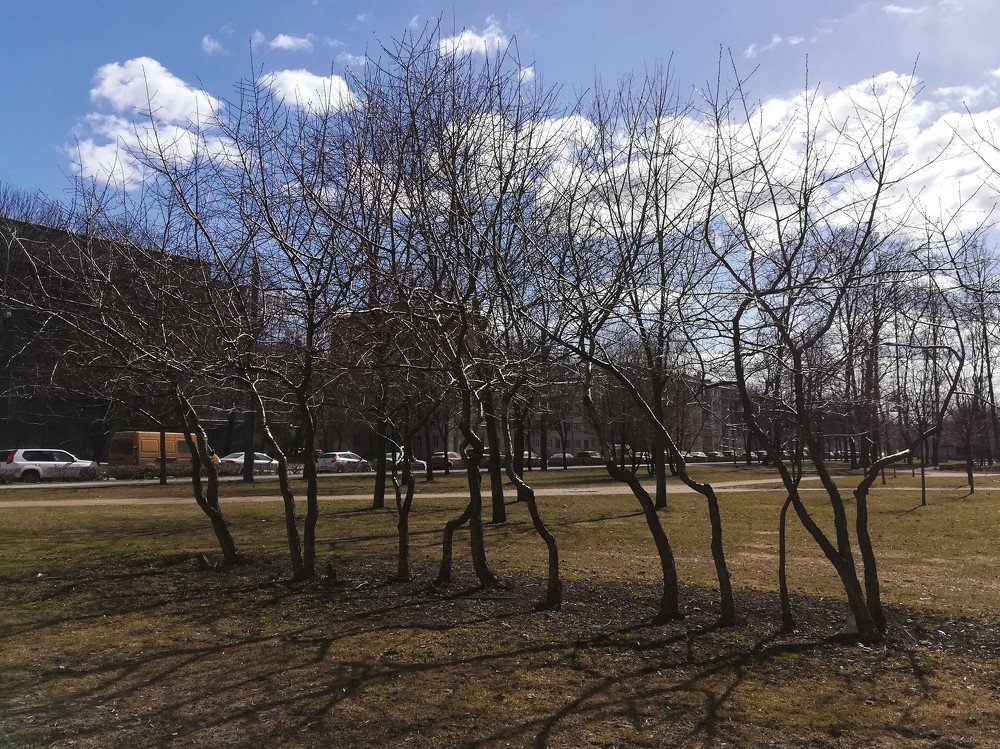 Ранняя весна в городском сквере