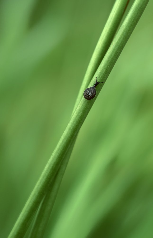 Photograph by Рут Андрей