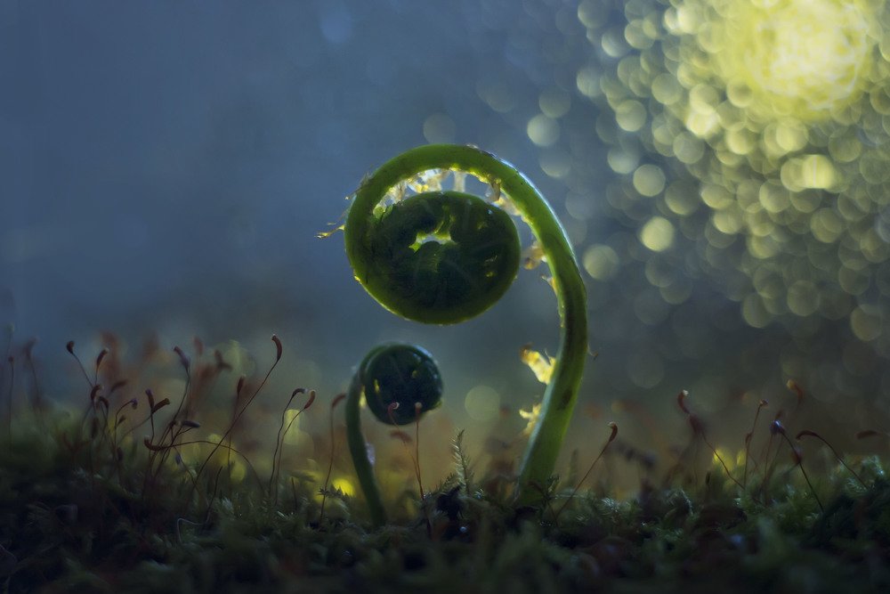 Photograph by Полина Васеева