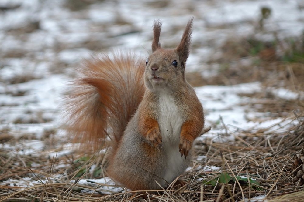 Самая обаятельная и привлекательная...