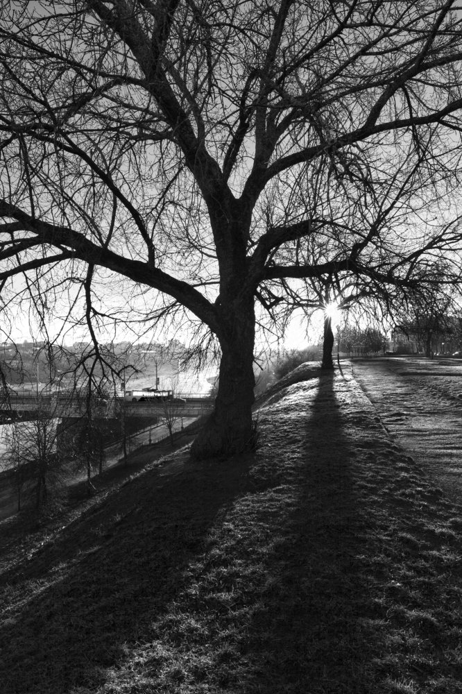 Photograph by Игорь Лейчонок