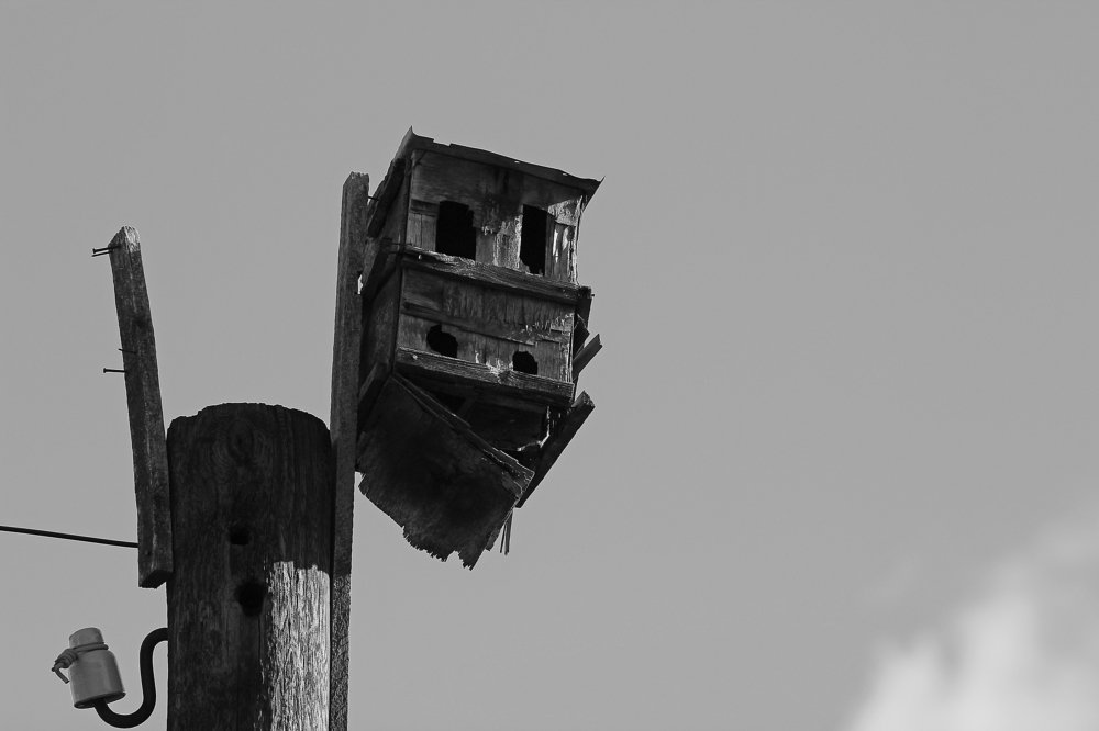 Photograph by Мария Попова