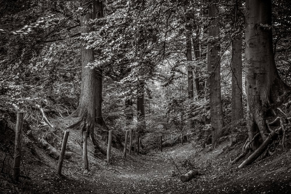 Photograph by Stefaan Hoste