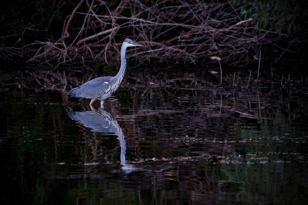 Одиночество