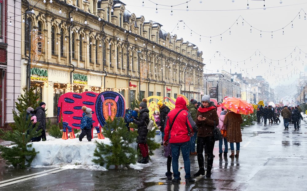 Фотография автора Святослав Романяк