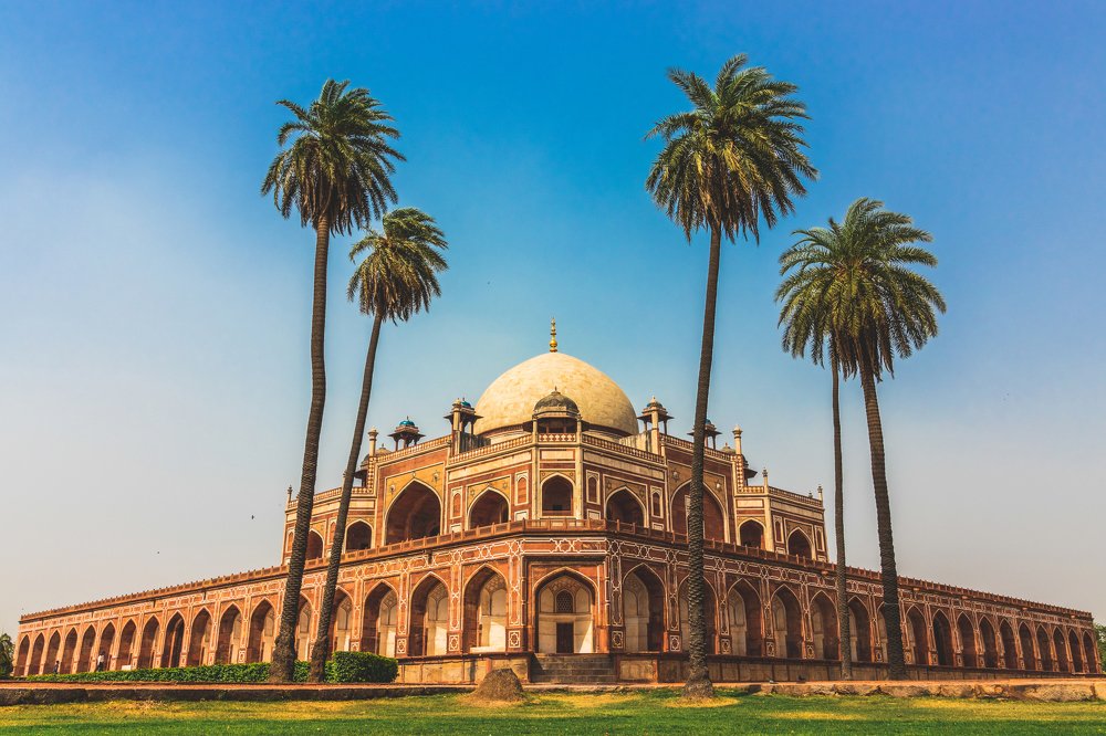 The Mughal's Delight!!!