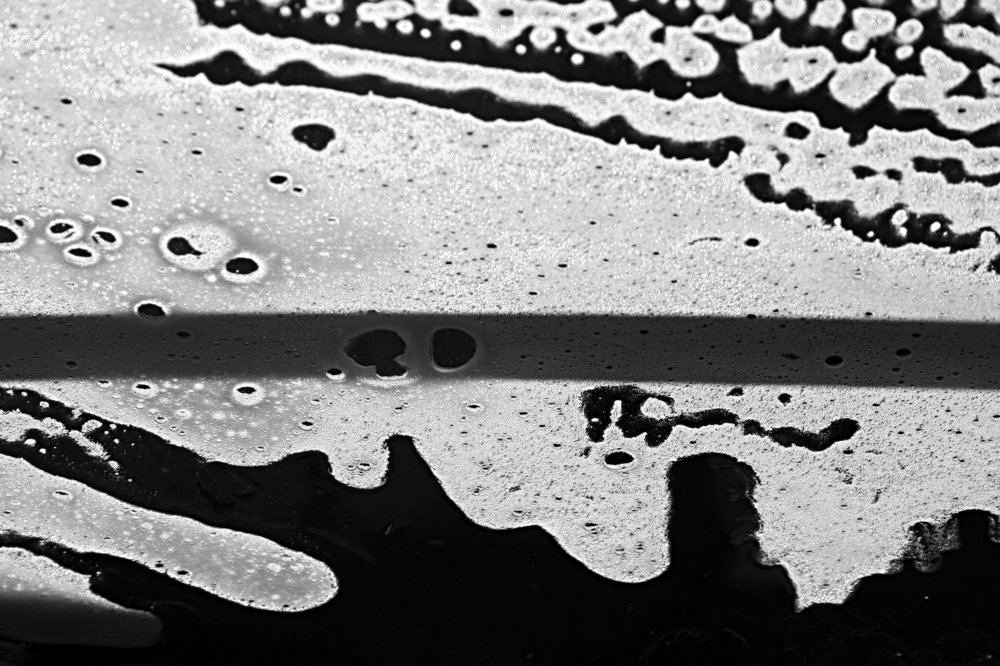 Photograph by behbood mohajeri jolandan