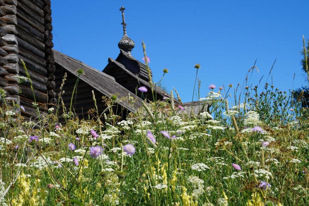 Июль. д. Поля Карелия