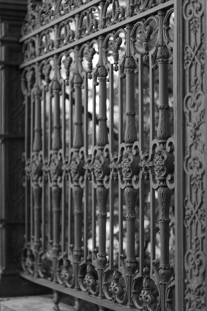 Элемент ограды Николаевского дворца. Санкт-Петербург.